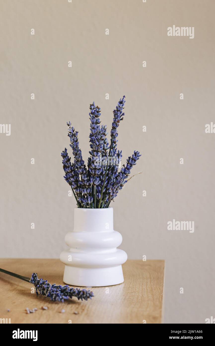 Trocknen Sie Lavendelblüten in der kleinen weißen Vase. Inneneinrichtung Stockfoto