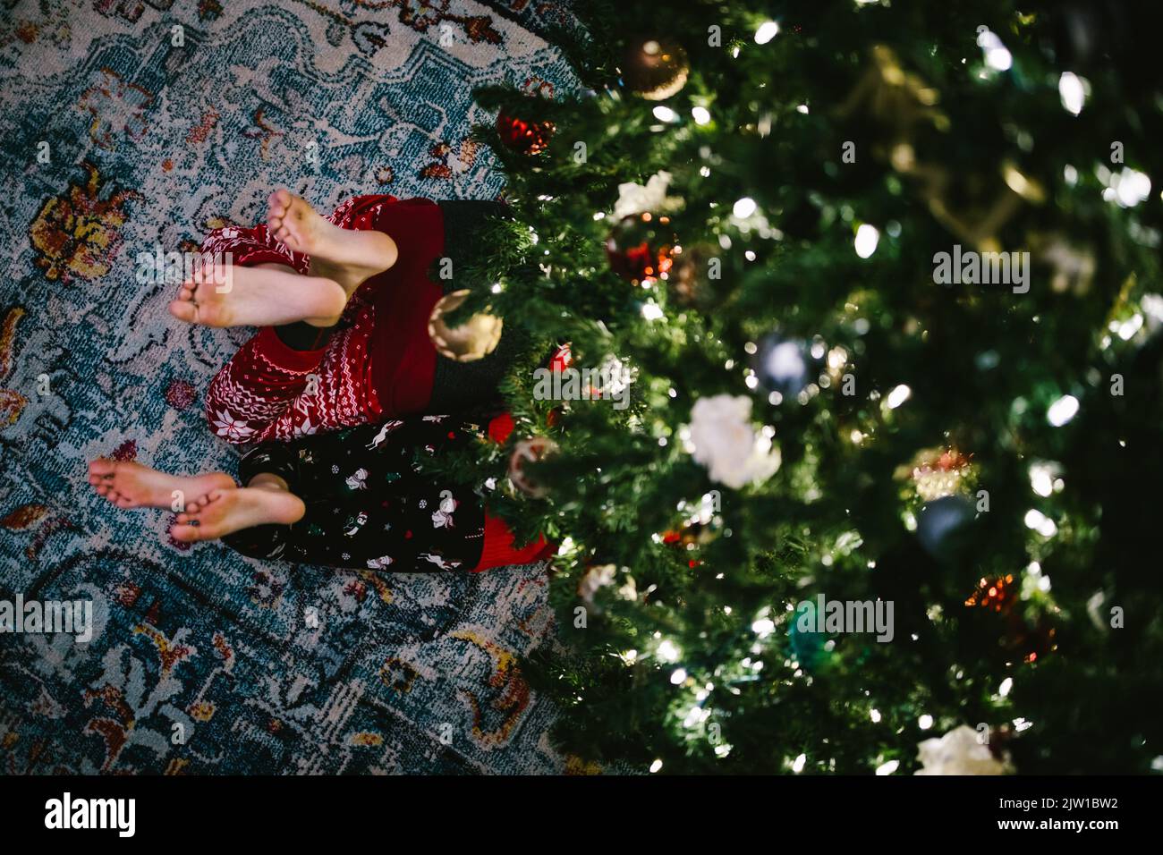 Die Füße der Kinder, die Geschwister, stechen aus dem untergeschmückten weihnachtsbaum hervor Stockfoto