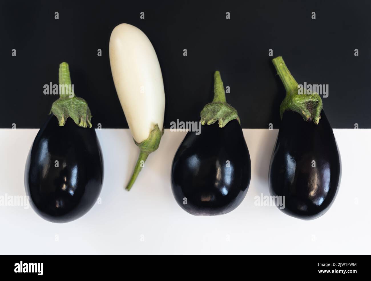 Schwarz-weiße Auberginen auf einem schwarz-weißen Hintergrund, Konzeptfoto Stockfoto
