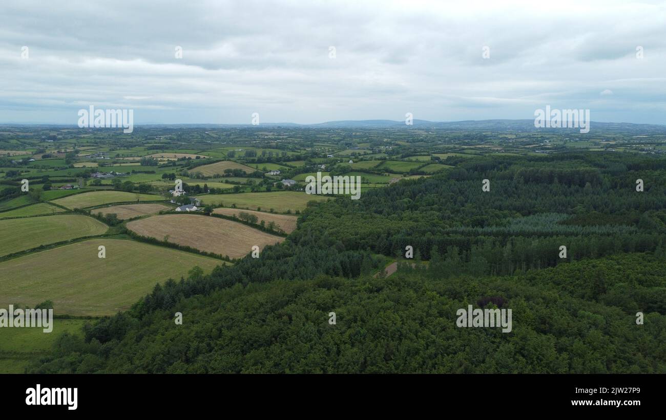 Eine Luftaufnahme des alten, nicht bewirtschafteten Waldes, der auf moderne bewirtschaftete landwirtschaftliche Ackerflächen in Irland trifft. Stockfoto