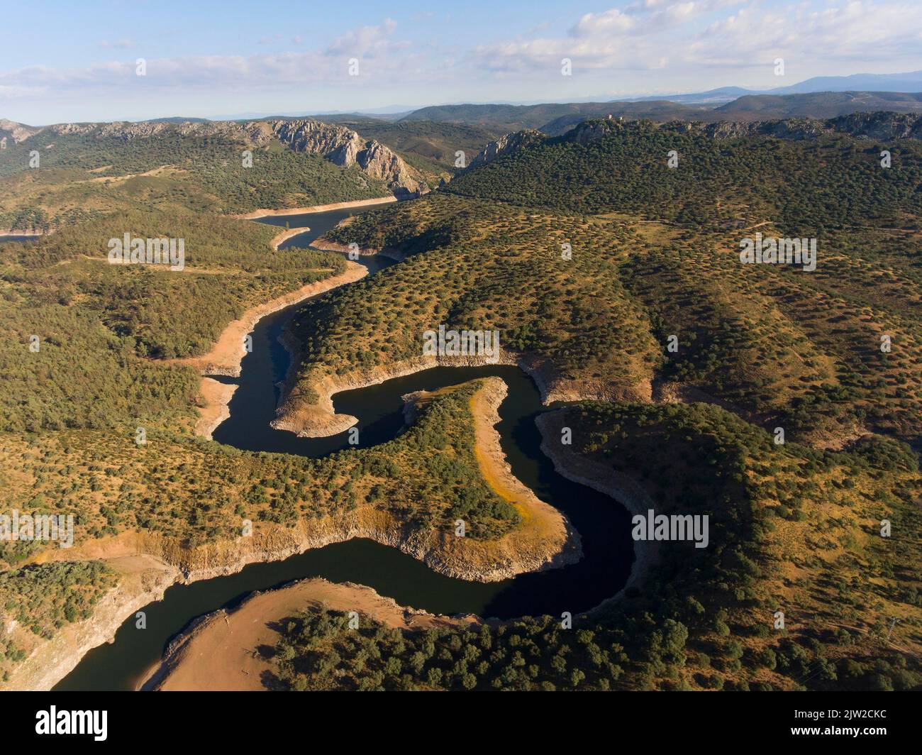 Dehesa, Steineichenwald mit Fluss, Drohnenschuss, Monfraguee-Nationalpark, Extremadura, Spanien Stockfoto