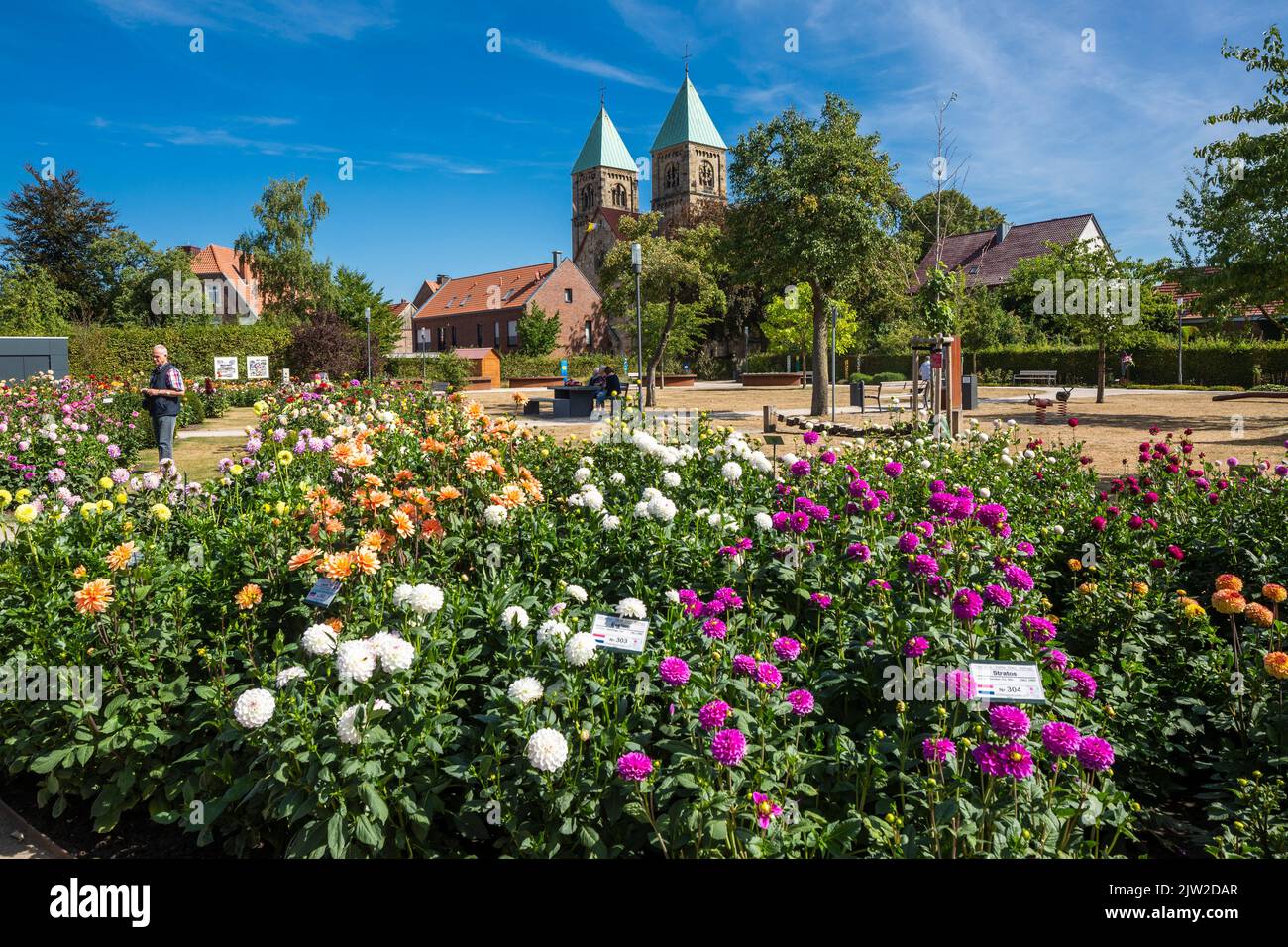 Deutschland, Legden, Westmuensterland, Münsterland, Westfalen, Nordrhein-Westfalen, NRW, Dahlia-Gärten, Park, Blumenfeld, Hinter der katholischen St. Brigida Kirche, Pfarrkirche, spätromanische Stockfoto