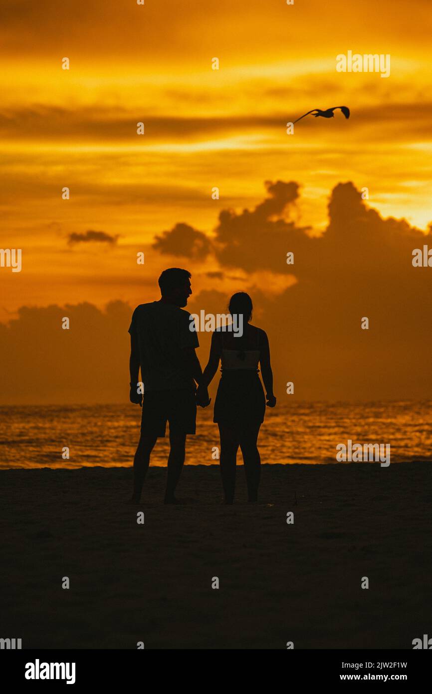 Rückansicht Silhouette eines anonymen liebenden Paares, das die Hände hält und am Strand in Richtung Wellenmeer steht, gegen den malerischen Sonnenuntergangshimmel in Clearwater Stockfoto