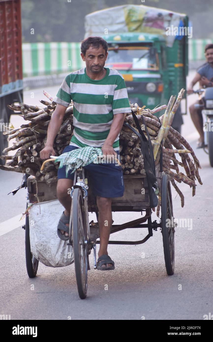 Mann, der morgens in Neu-Delhi, Indien, einen Fahrrad-Rikscha fährt. Stockfoto