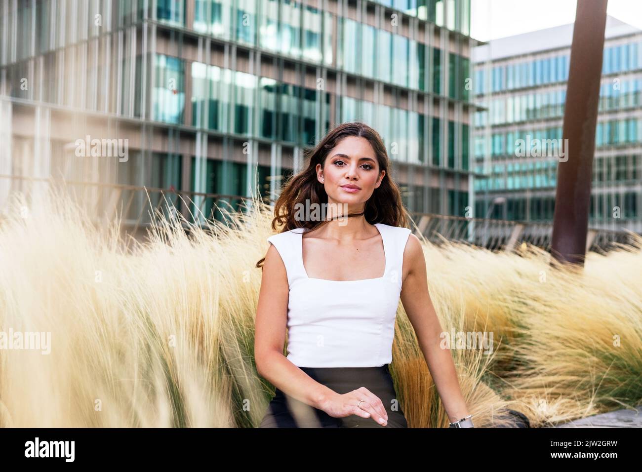 Selbstbewusste junge Dame mit langen dunklen Haaren im Sommertop sitzt auf einer Bank in der Nähe von trockenem hohen Gras und blickt auf die Kamera gegen zeitgenössische Gebäude in Stockfoto