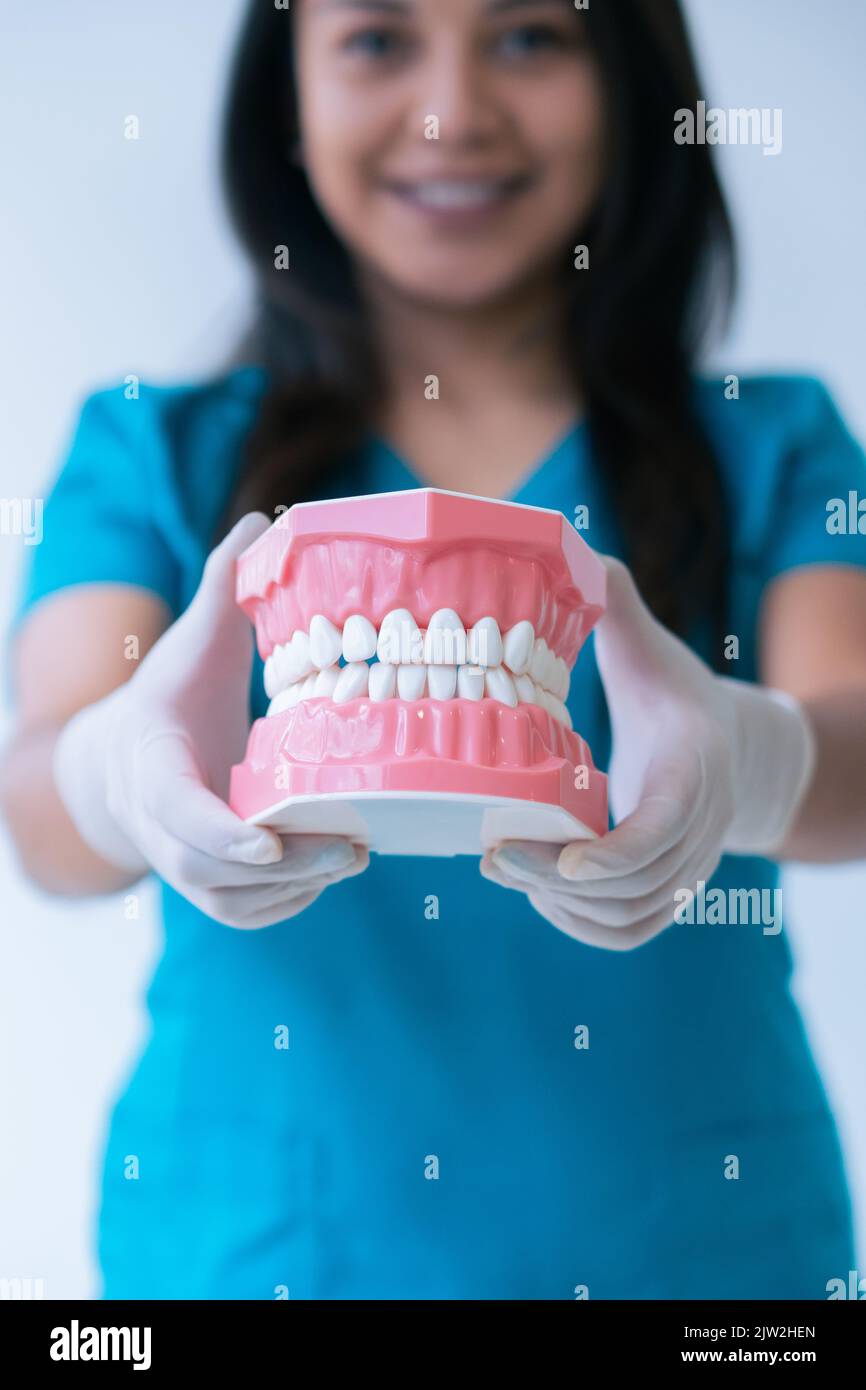 Positive junge Zahnärztin in blauen Peelings Schutzhandschuhen, die Prothese demonstrieren und vor weißem Hintergrund auf die Kamera schauen Stockfoto