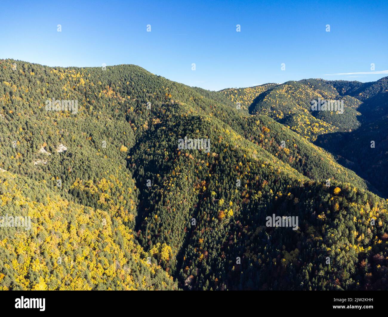 Atemberaubende Aussicht auf Berge und Tal mit gemischten Waldbäumen vor blauem Himmel bedeckt Stockfoto