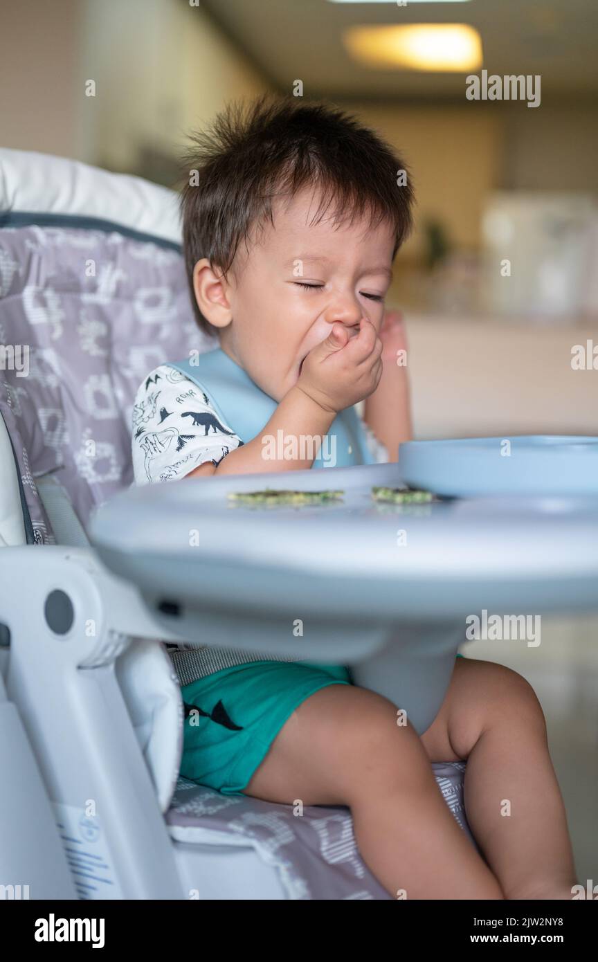 Kleiner Junge, der alleine auf seinem Hochstuhl zu Hause isst. Entzückendes, einjähriges Baby, das eine Mahlzeit in den Händen hält und zu Hause isst Stockfoto