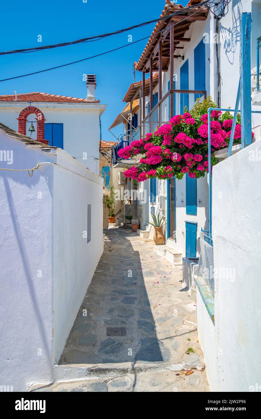 Blick auf die schmale, weiß getünchte Straße, Skopelos-Stadt, Skopelos-Insel, die Sporaden-Inseln, die griechischen Inseln, Griechenland, Europa Stockfoto
