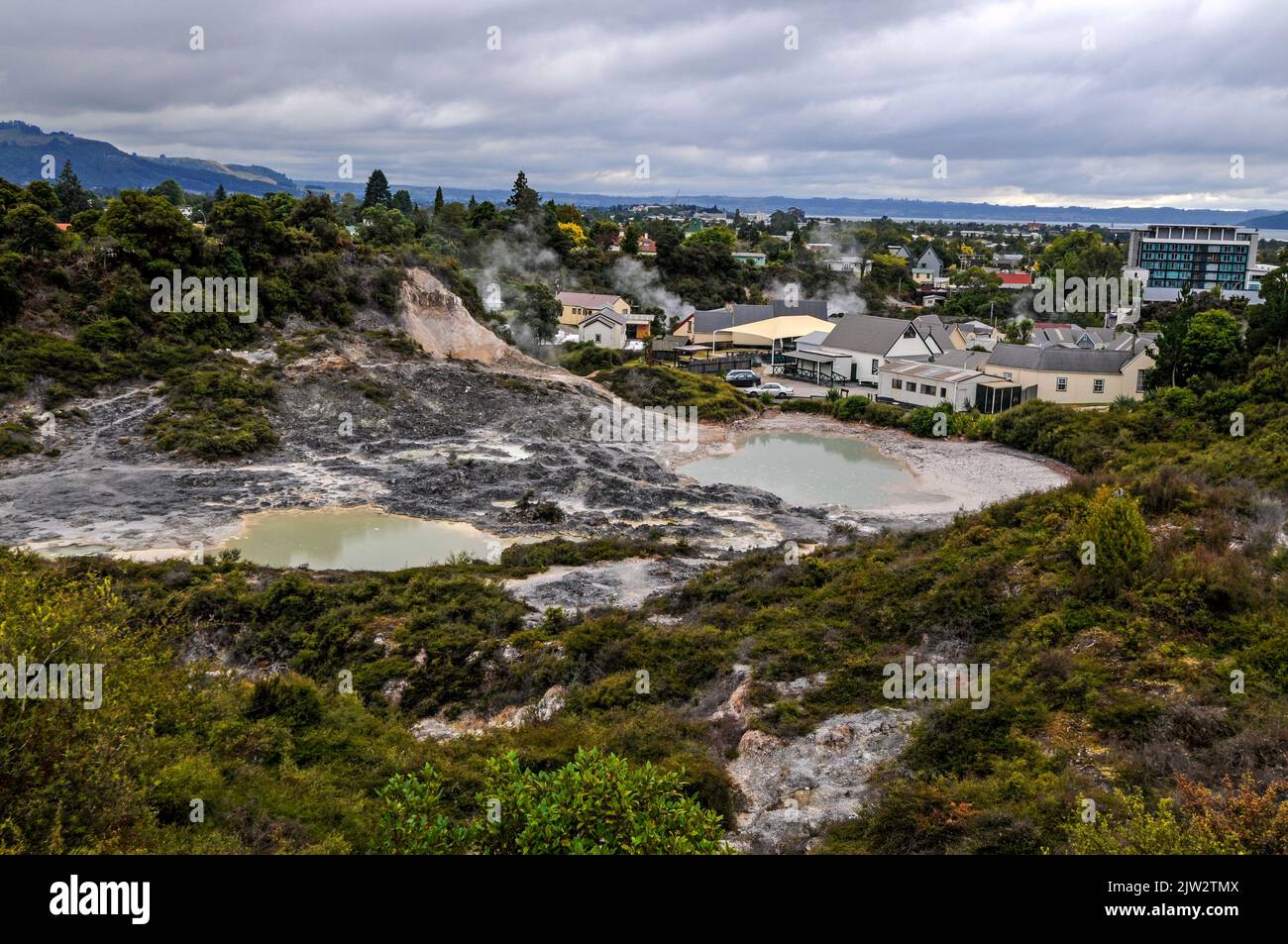 Dampf steigt aus einer der heißen Quellen im einzigen lebenden Maori-Dorf Neuseelands, das sich in der geothermischen Whakarewarewa in Rotorua auf der Bay o befindet Stockfoto