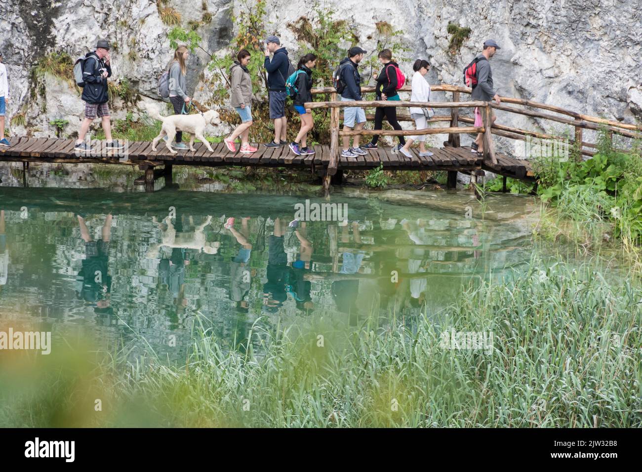 Touristen, die auf einem Board zu Fuß über einen der vielen Pools und Seen des Nationalparks Plitvicer Seen, Kroatien, Europa. Stockfoto