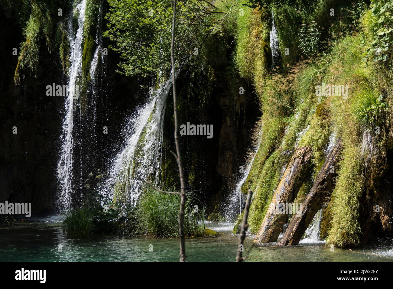 Malerische Umgebung mit Schilf, Moos und türkisfarbenem Wasser eines kleinen Pools im Nationalpark Plitvicer Seen, Kroatien, Europa. Stockfoto