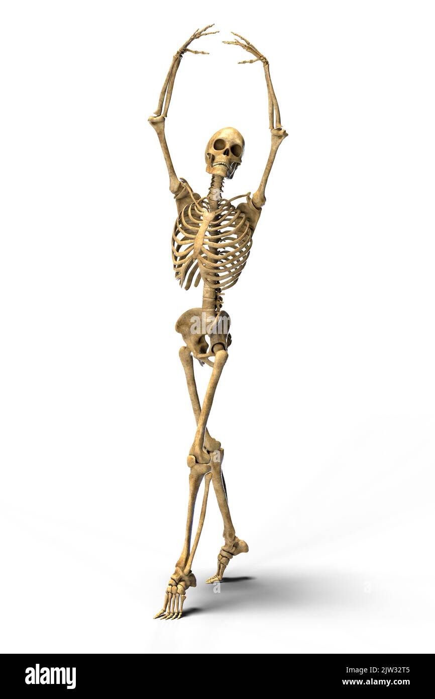 Tanzendes Skelett, Illustration. Ein menschliches Skelett in einer Ballettpose. Stockfoto