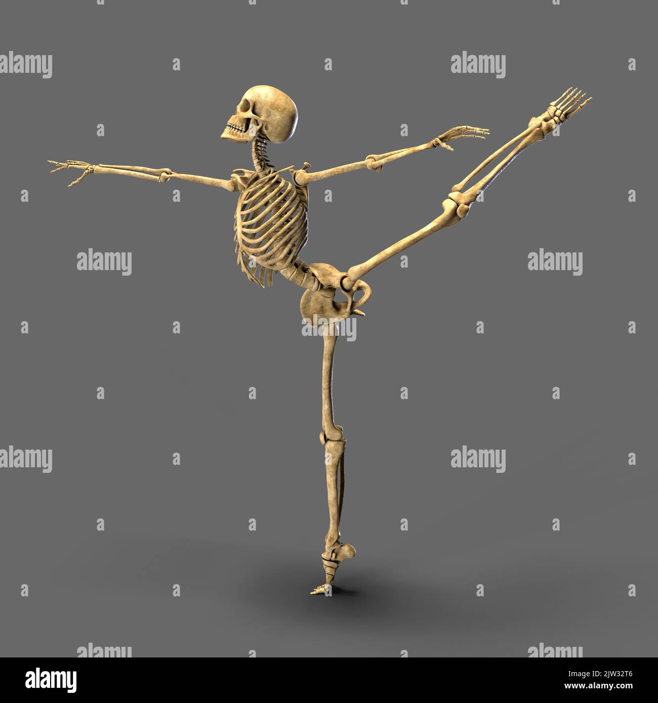 Tanzendes Skelett, Illustration. Ein menschliches Skelett in einer Ballettpose. Stockfoto