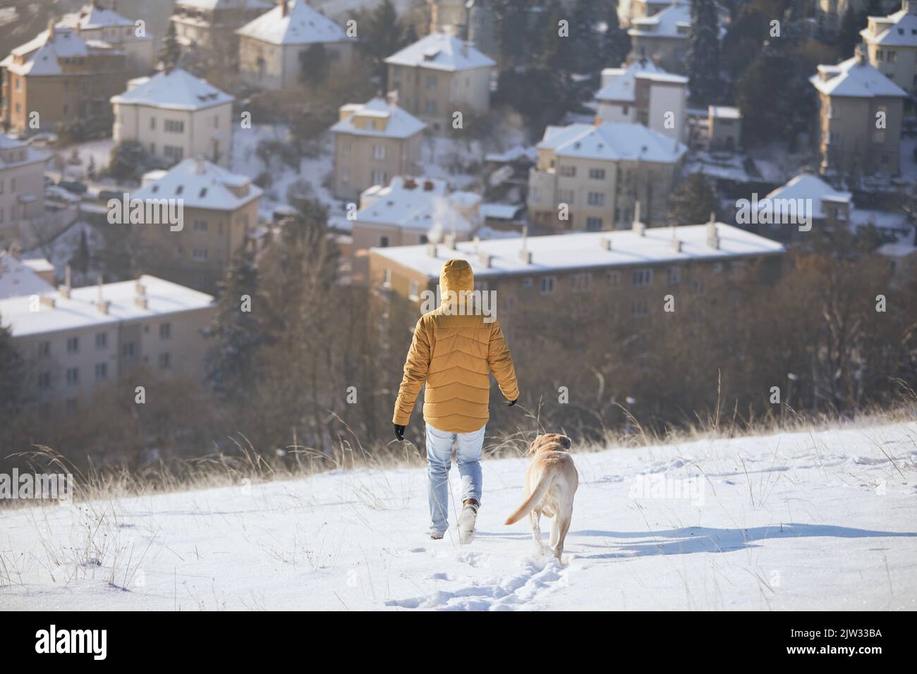 Rückansicht des Mannes mit Hund im Winter. Tierbesitzer mit seinem labrador Retriever, der im Schnee gegen die Stadt läuft. Prag, Tschechische Republik Stockfoto