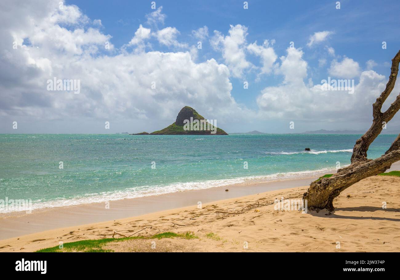 Beliebter Fotoort der malerischen Insel Mokolii vor der Kaneohe Bay auf Oahu, Hawaii. Die Insel ist Teil des Regionalparks Kualoa. Stockfoto