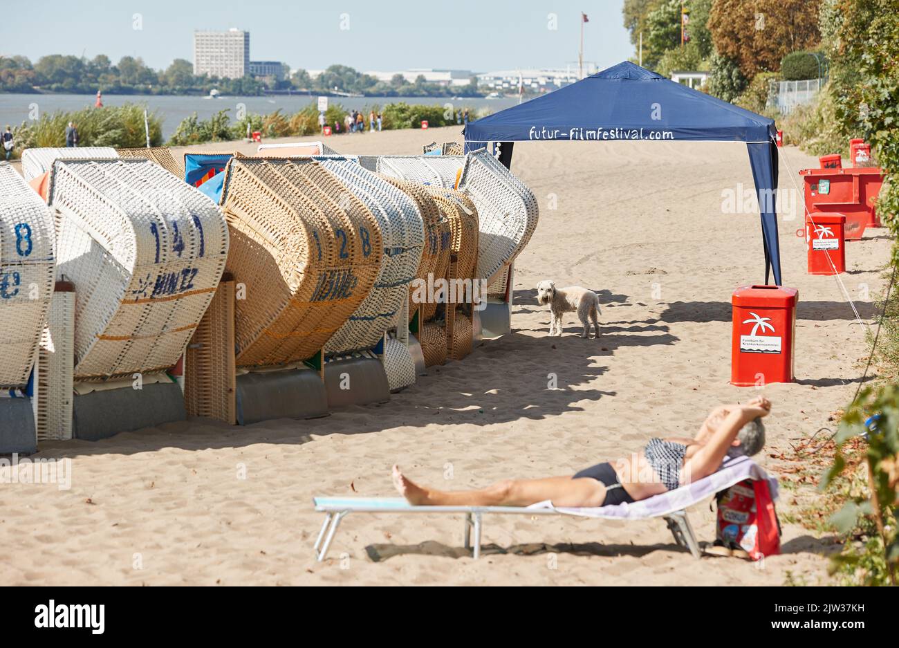 03. September 2022, Hamburg Eine Frau und ein Hund genießen die Sonne