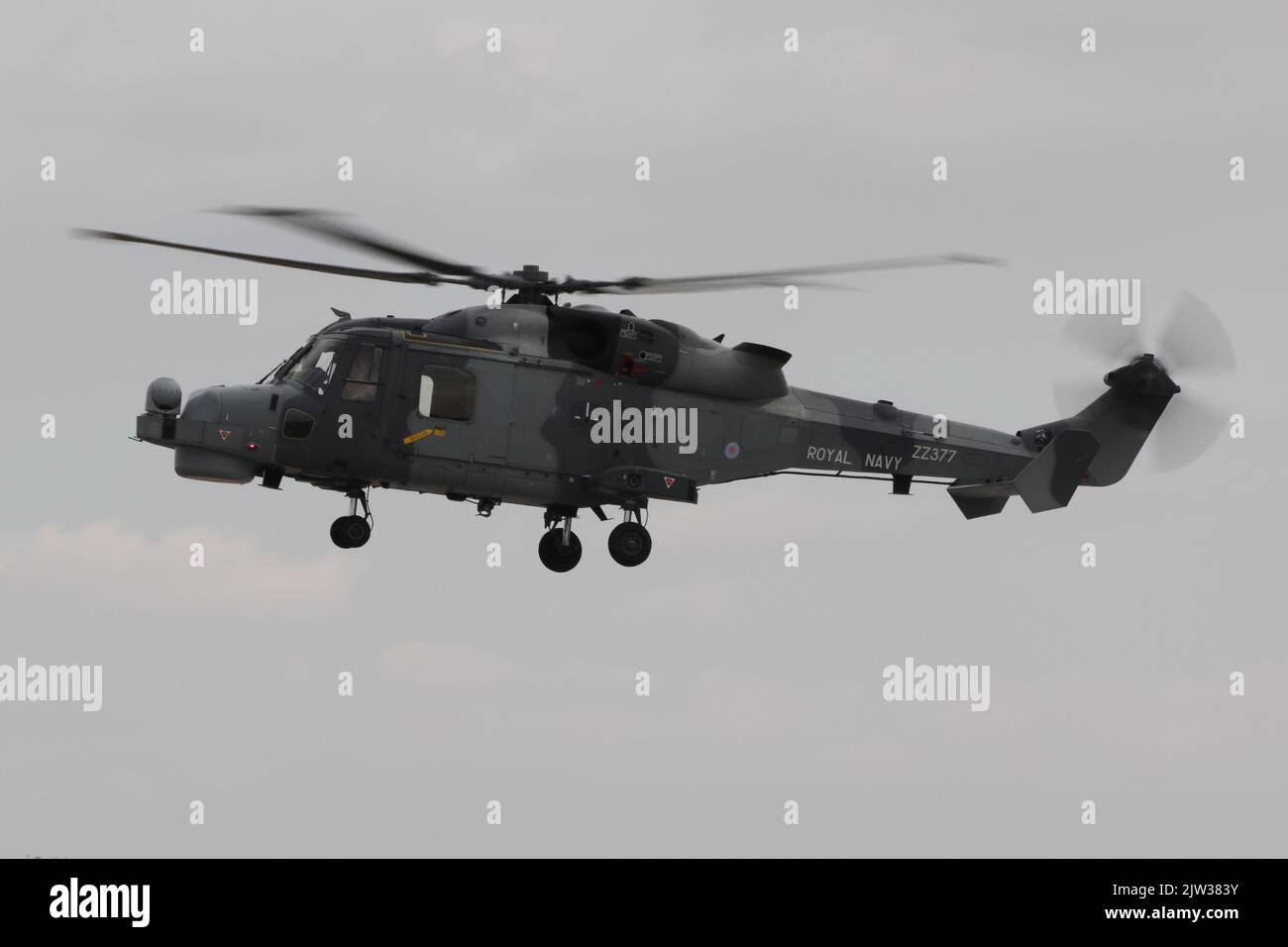 ZZ377, eine von der Royal Navy betriebene AgustaWestland Wildcat HMA2, die in RAF Fairford in Gloucestershire, England, ankommt, um an der Royal International Air Tattoo 2022 (RIAT 2022) teilzunehmen. Stockfoto