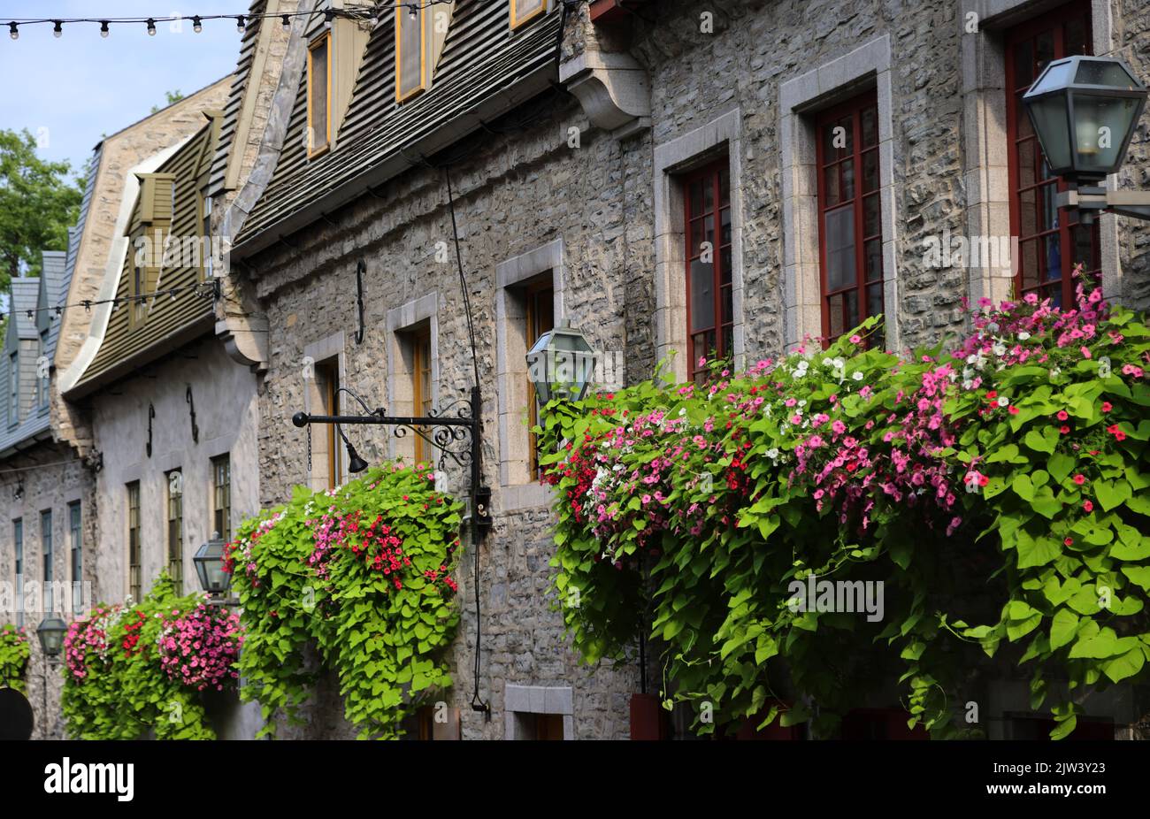 Die charakteristischen Häuser der Stadt Quebec Stockfoto