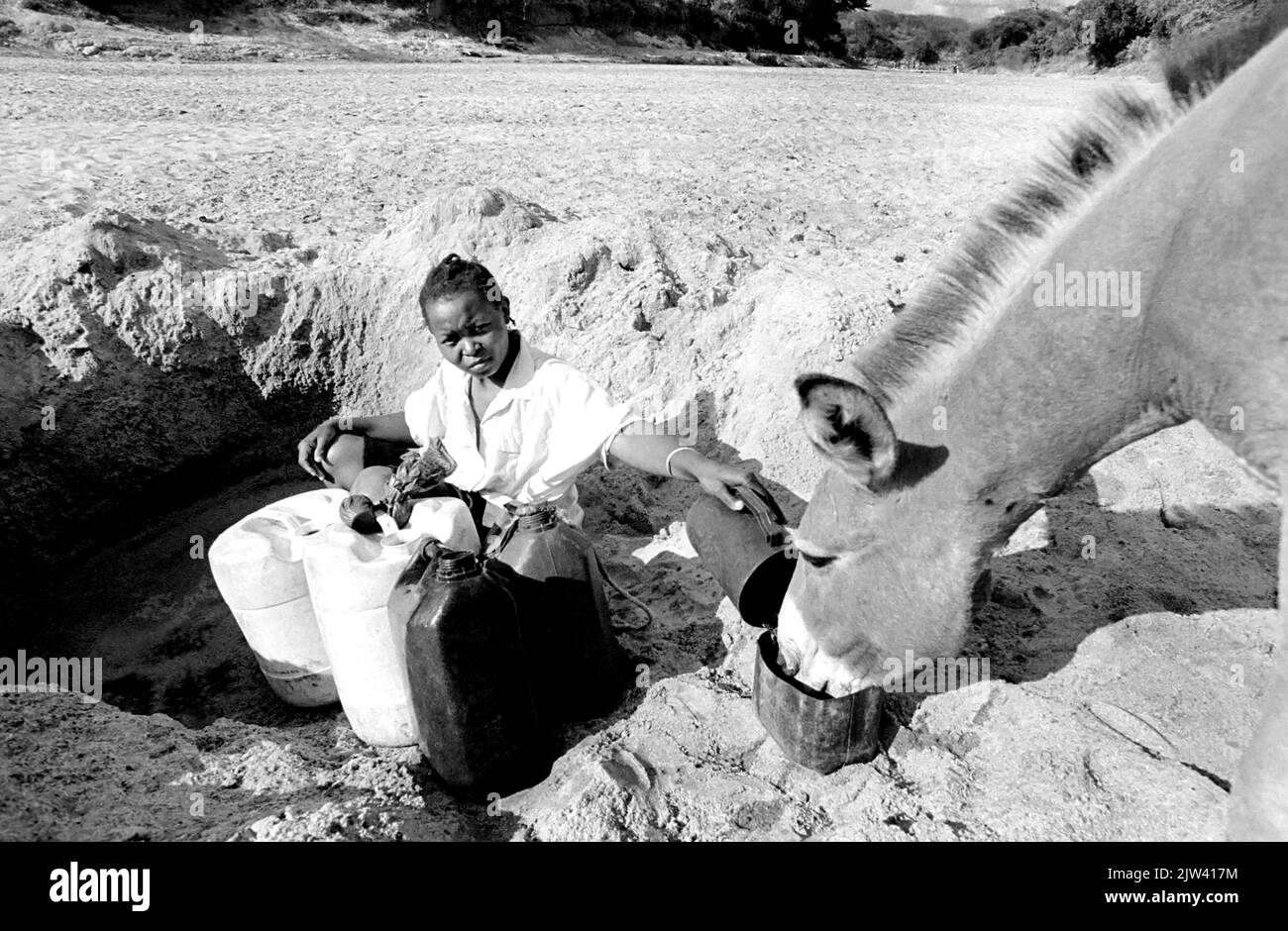 Kenia zeichnet sich durch lange Trockenzeiten und fehlende Flüsse aus. Ein Mädchen zieht Wasser aus dem Enziu-Fluss in der Nähe von Kitui, Kenia. Stockfoto