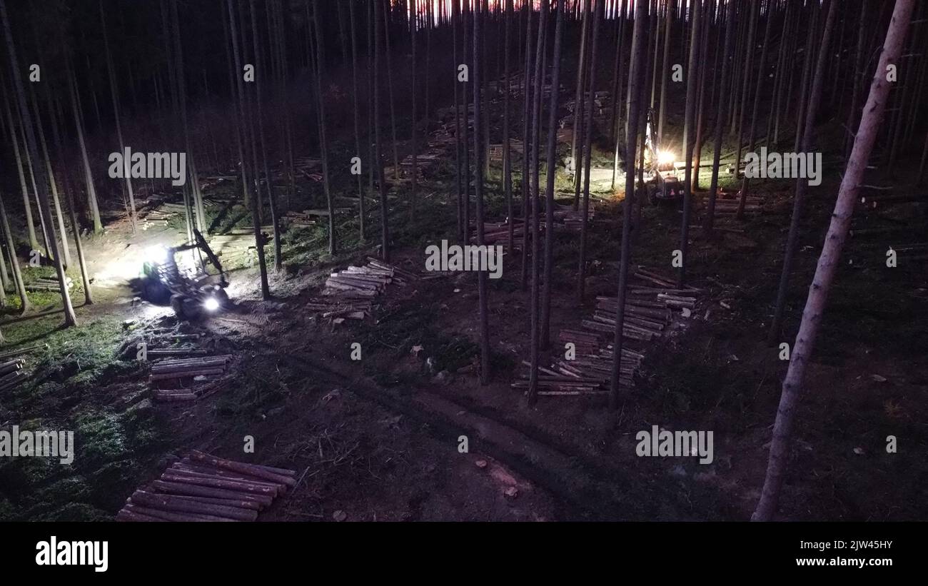 Harvester Maschine arbeitet in einem Wald schneiden Bäume. Holzernte. Brennholz wie nach Rindenkäfer Katastrophe.Nacht Luftpanorama.Tschechisch Stockfoto