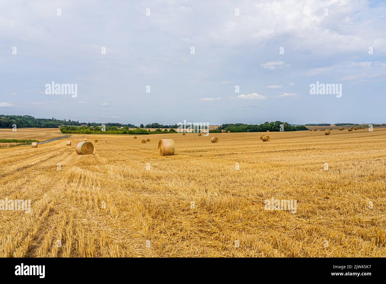 Ein Feld mit goldenen Heuballen in französischer Landschaft auf dem Himmelshintergrund. Hochwertige Fotos Stockfoto