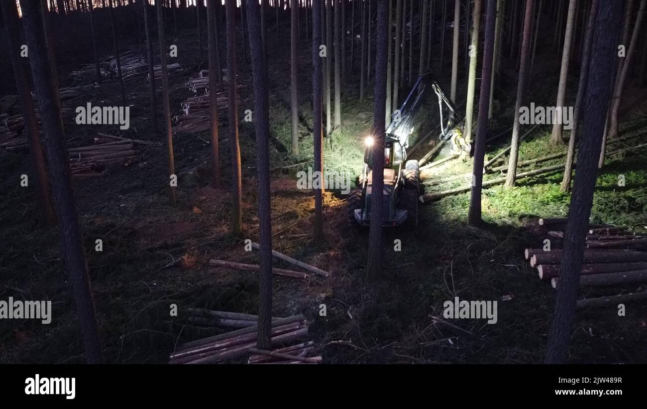 Harvester Maschine arbeitet in einem Wald schneiden Bäume. Holzernte. Brennholz wie nach Rindenkäfer Katastrophe.Nacht Luftpanorama.Tschechisch Stockfoto