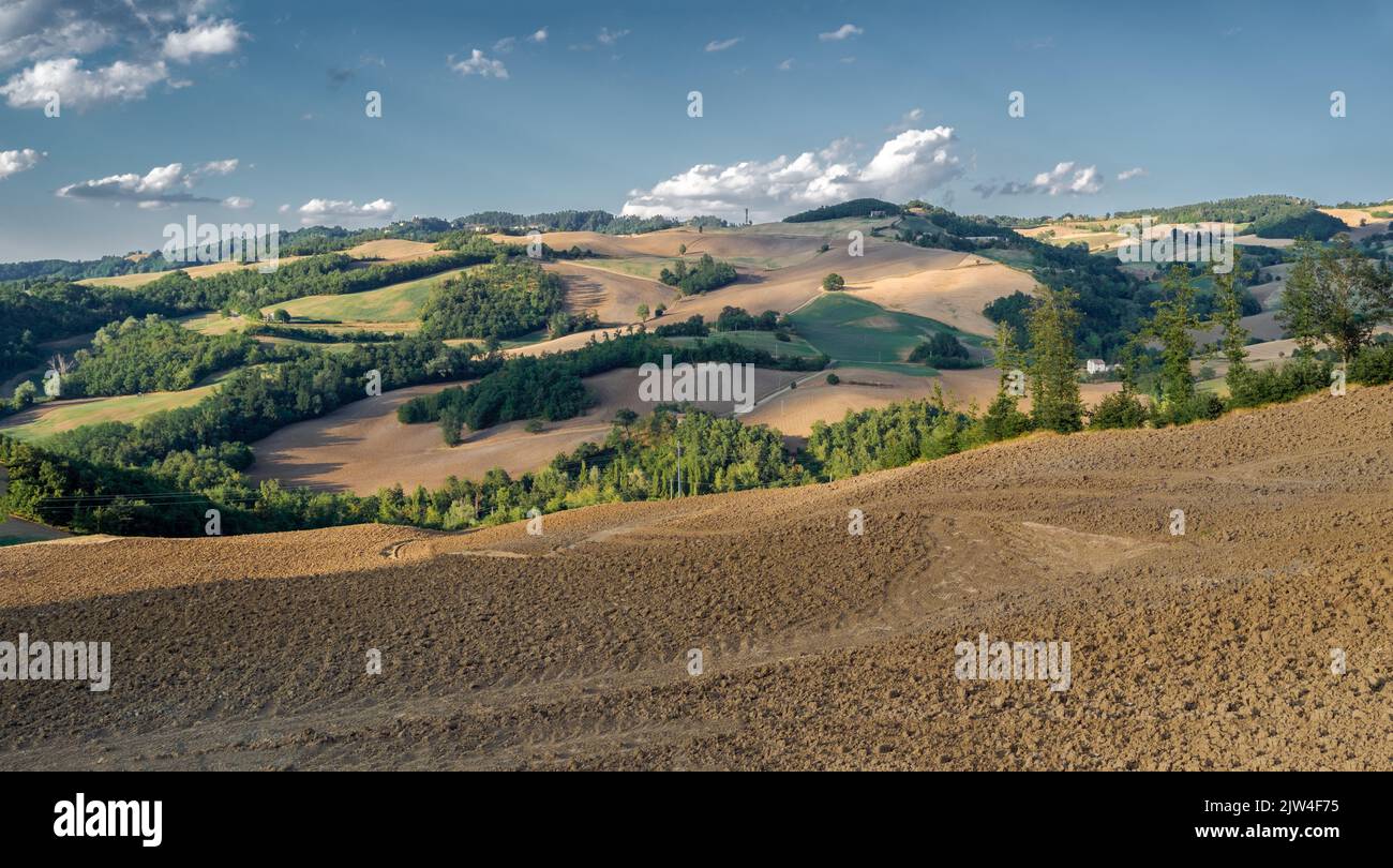 Wolken Schatten auf den kultivierten sanften Hügeln, Loiano, Bologna Provinz, Emilia-Romagna, Italien Stockfoto