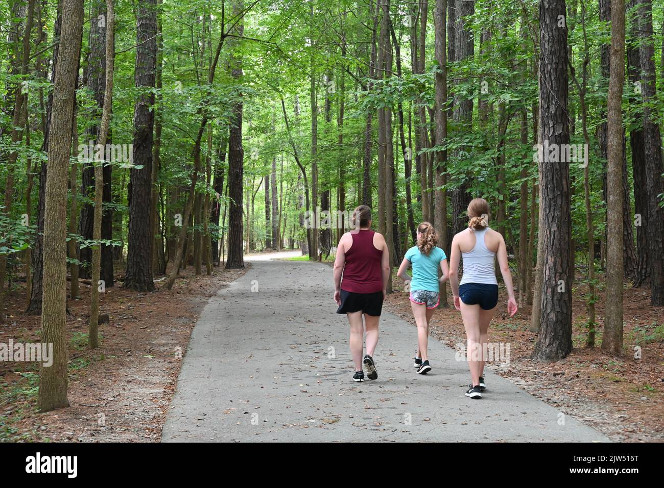 Freunde, die auf einem der vielen bewaldeten Grünwege von Raleigh um den Shelley Lake spazieren. Stockfoto