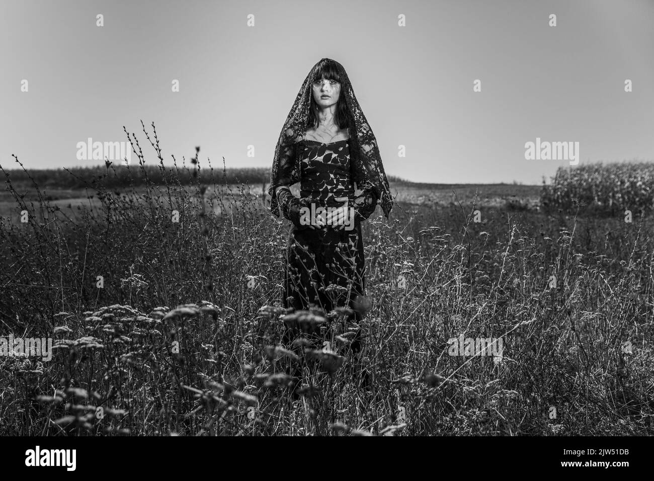 Eine Graustufe einer kaukasischen hübschen Hündin in einem schwarzen Kleid im gotischen Stil auf einem Feld Stockfoto