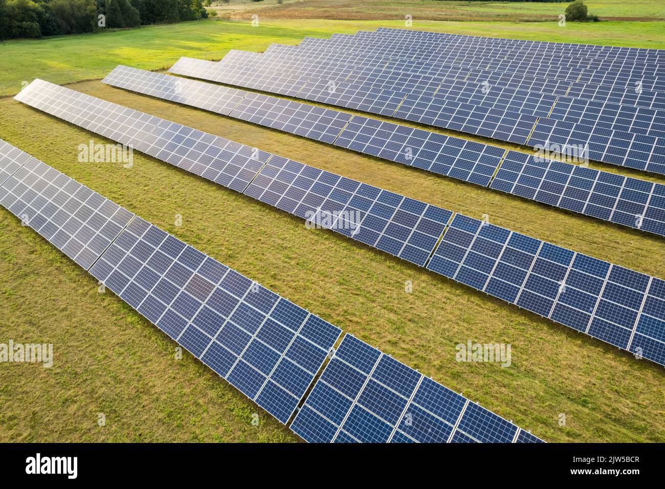 Luftaufnahme von Sonnenkollektoren auf einem grünen Grasfeld. Alternative Energiequelle. Stockfoto