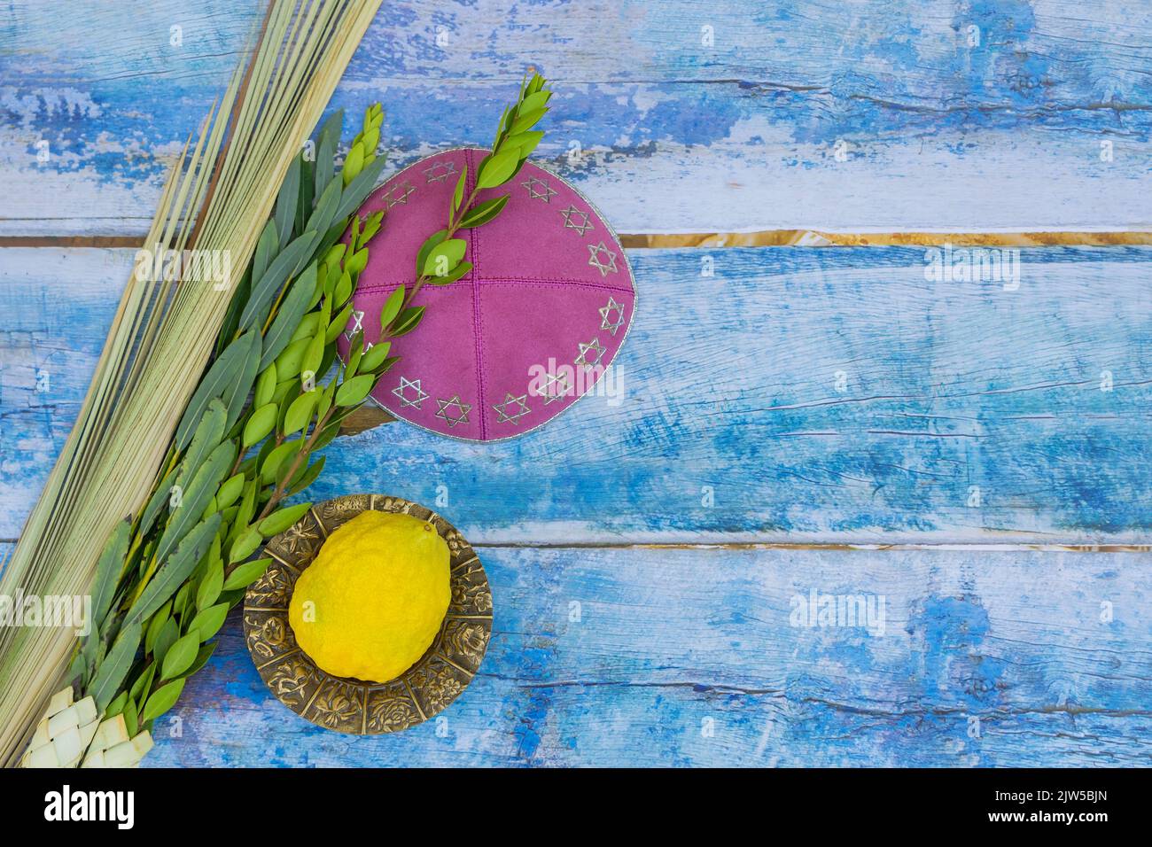 Symbole jüdischer Feiertagstraditionen für Sukkot, die mit Etrog, Lulav, Hadas und Arava feiern Stockfoto