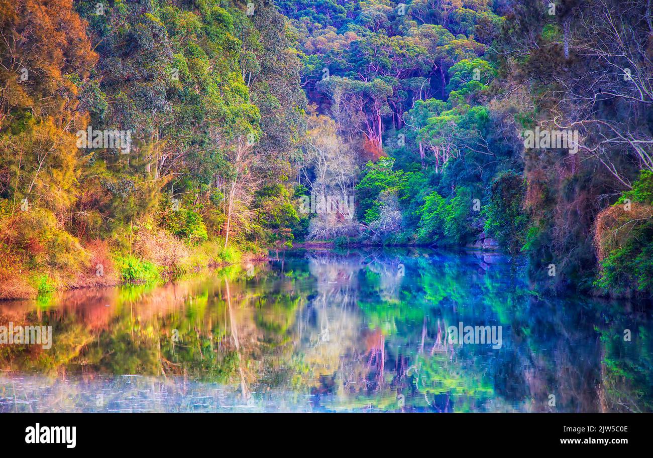 Kaugummiwälder am Ufer des Lane Cover River im Lane Cove Nationalpark von Sydney - malerische, farbenfrohe Landschaft bei Sonnenaufgang. Stockfoto