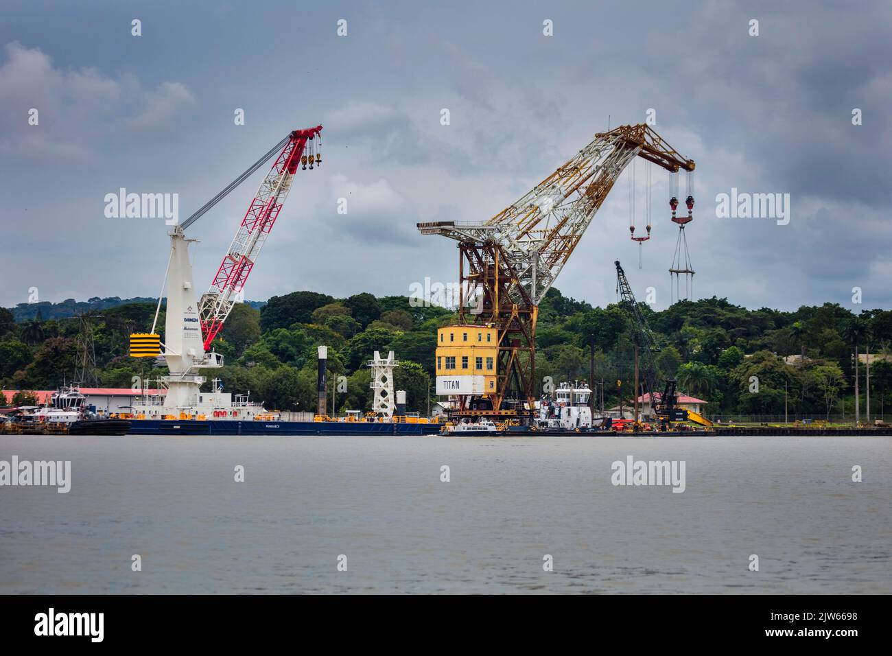 Große Kraniche am Hafen von Gamboa, Panama-Kanal, Provinz Colon, Republik Panama, Mittelamerika. Stockfoto