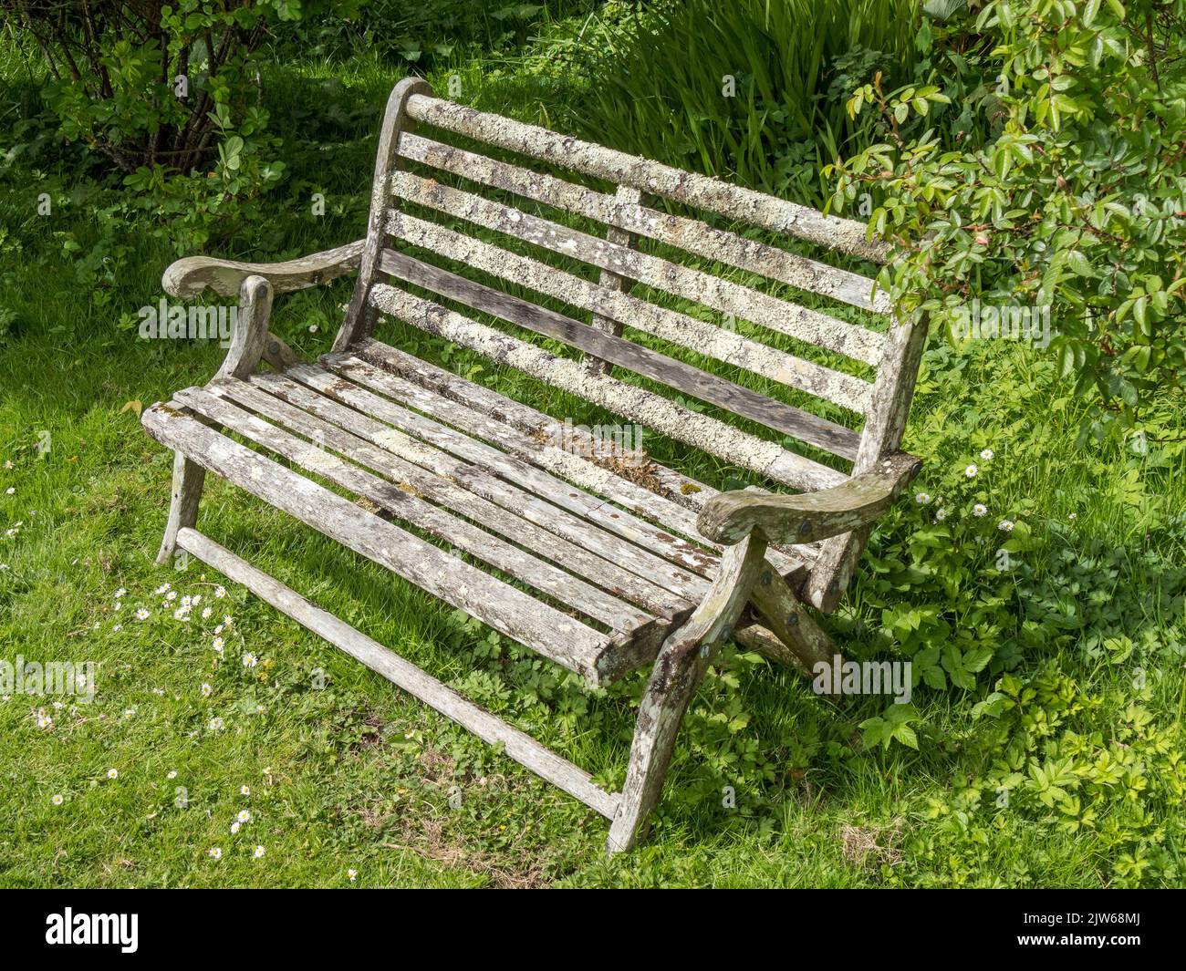 Alte Sitzbank aus Holz mit Flechten bedeckt Colonsay House Gardens, Isle of Colonsay, Schottland, Großbritannien. Stockfoto