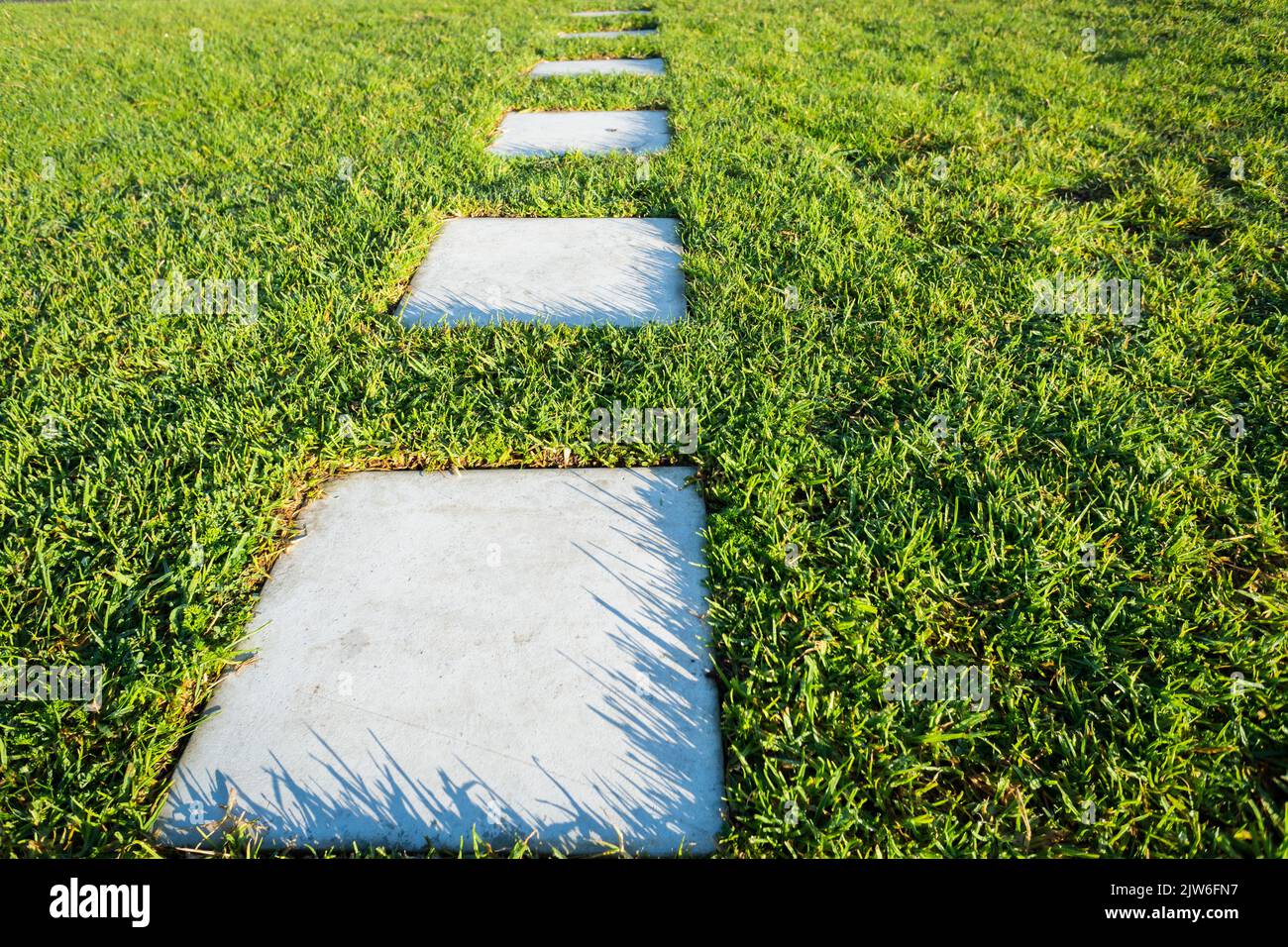 Gerade Linie von Gras Block Fertiger zwischen üppigem grünen Gras Stockfoto