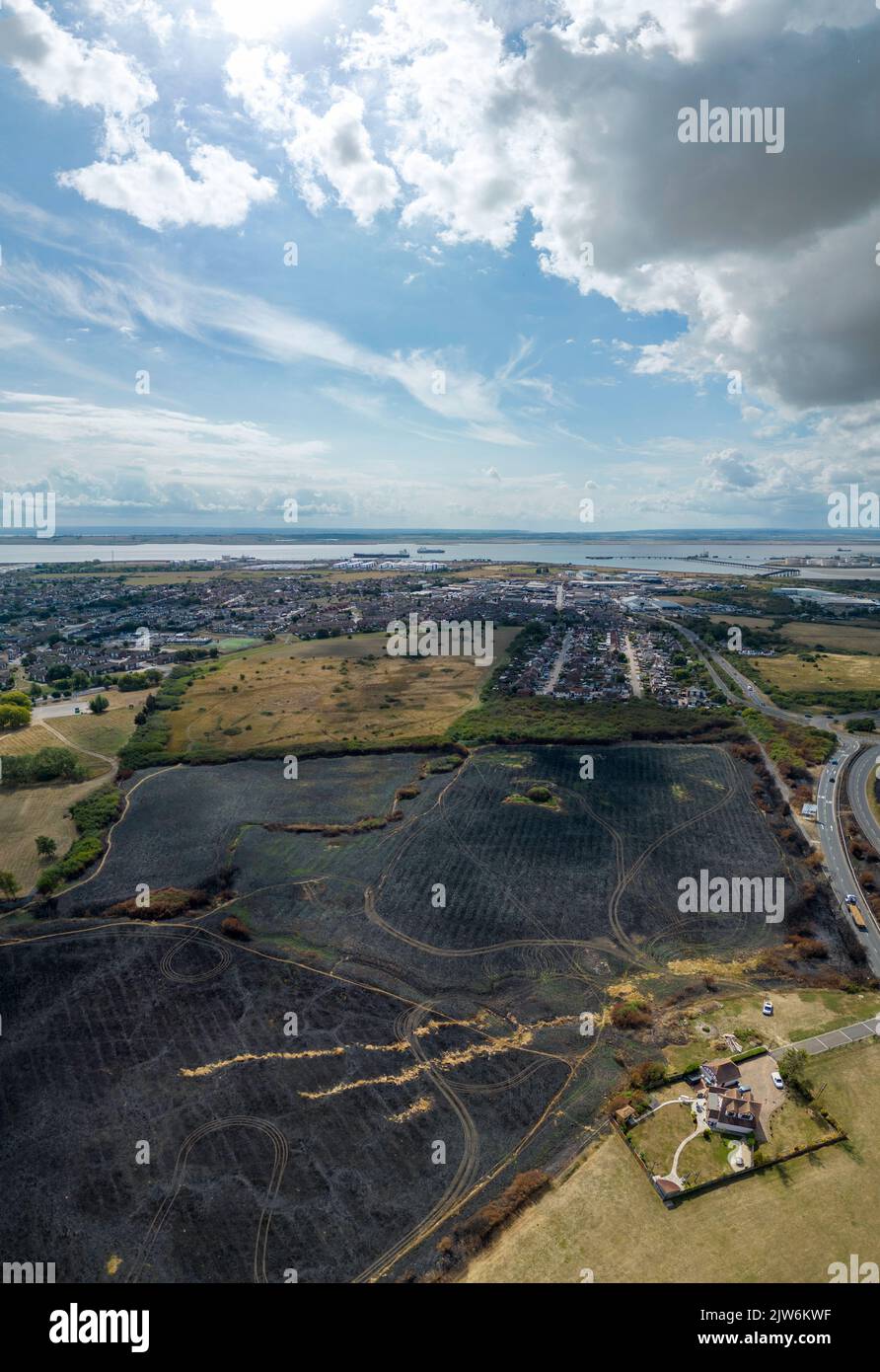 Verbrannte Felder Stockfoto