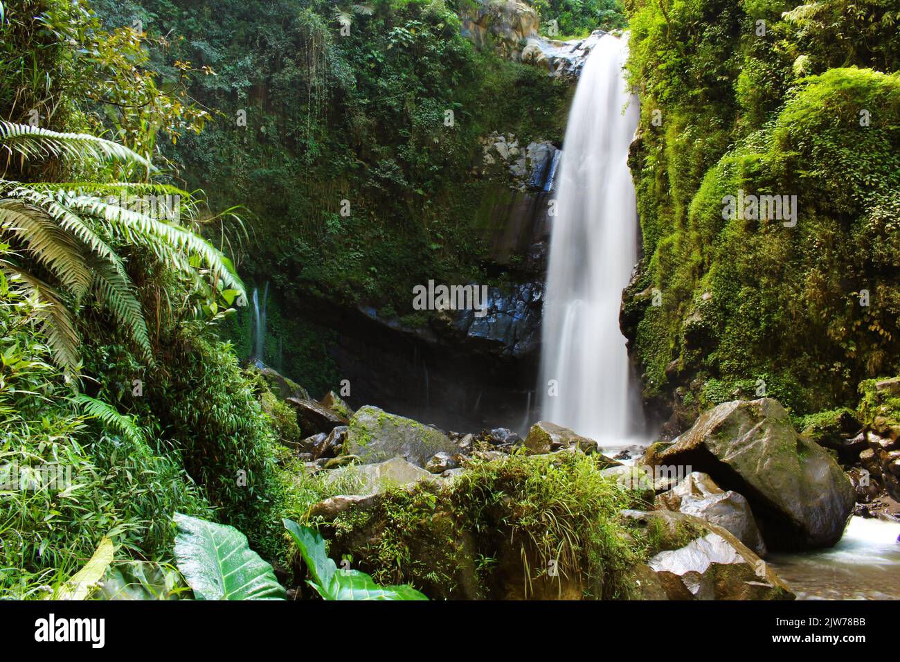 Ein schöner Wasserfall im ruhigen Wald Stockfoto