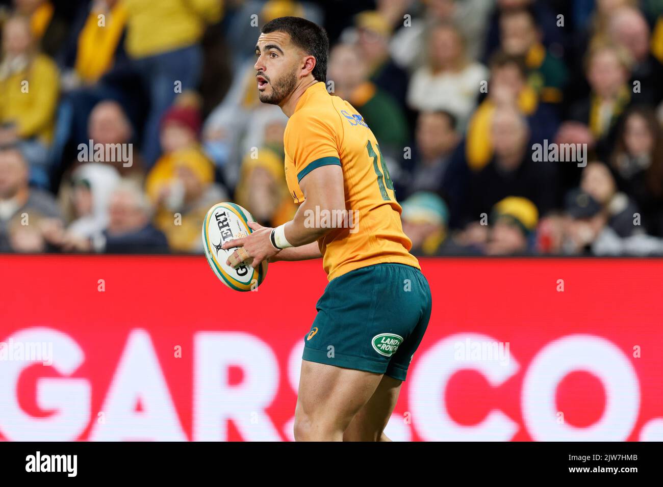 SYDNEY, AUSTRALIEN - 3. SEPTEMBER: Tom Wright aus Australien bereitet sich darauf vor, den Ball während des Rugby-Championship-Spiels zwischen den australischen Wallabies zu bestehen Stockfoto