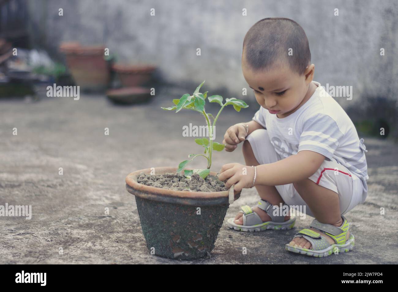 Niedlichen kleinen Jungen mit Blume Wanne liebt es, in den Schmutz zu spielen. Stockfoto
