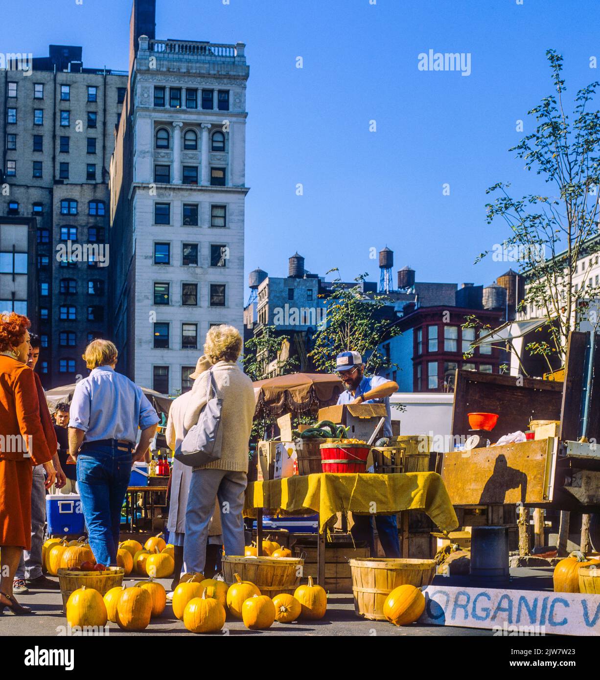 New York, 1980s, Kürbisse zu verkaufen, Käufer, Union Square greenmarket, Bio-Bauernmarkt, Manhattan, New York City, NYC, NY, USA, Stockfoto