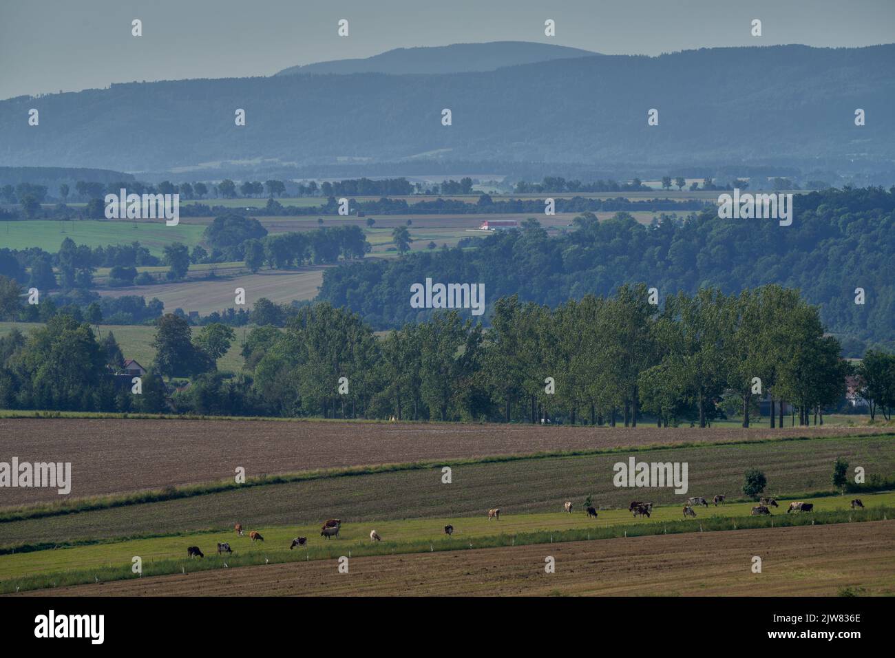 Von der Straße über Bożków hat man einen weiten Blick auf die Sudetenstaaten im Süden Stockfoto