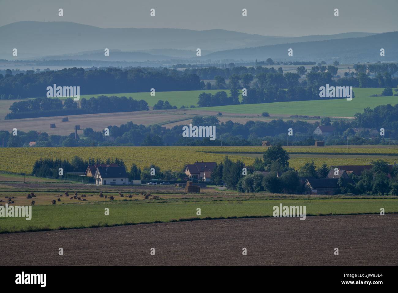Von der Straße über Bożków hat man einen weiten Blick auf die Sudetenstaaten im Süden Stockfoto