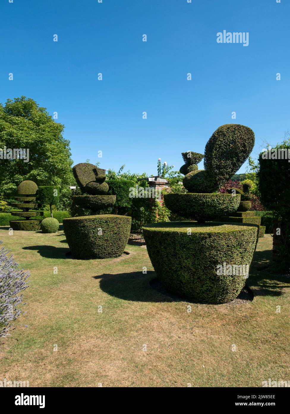 Topiary in the Gardens, Felley Priory, Nottingham, Nottinghamshire, England, VEREINIGTES KÖNIGREICH. Stockfoto