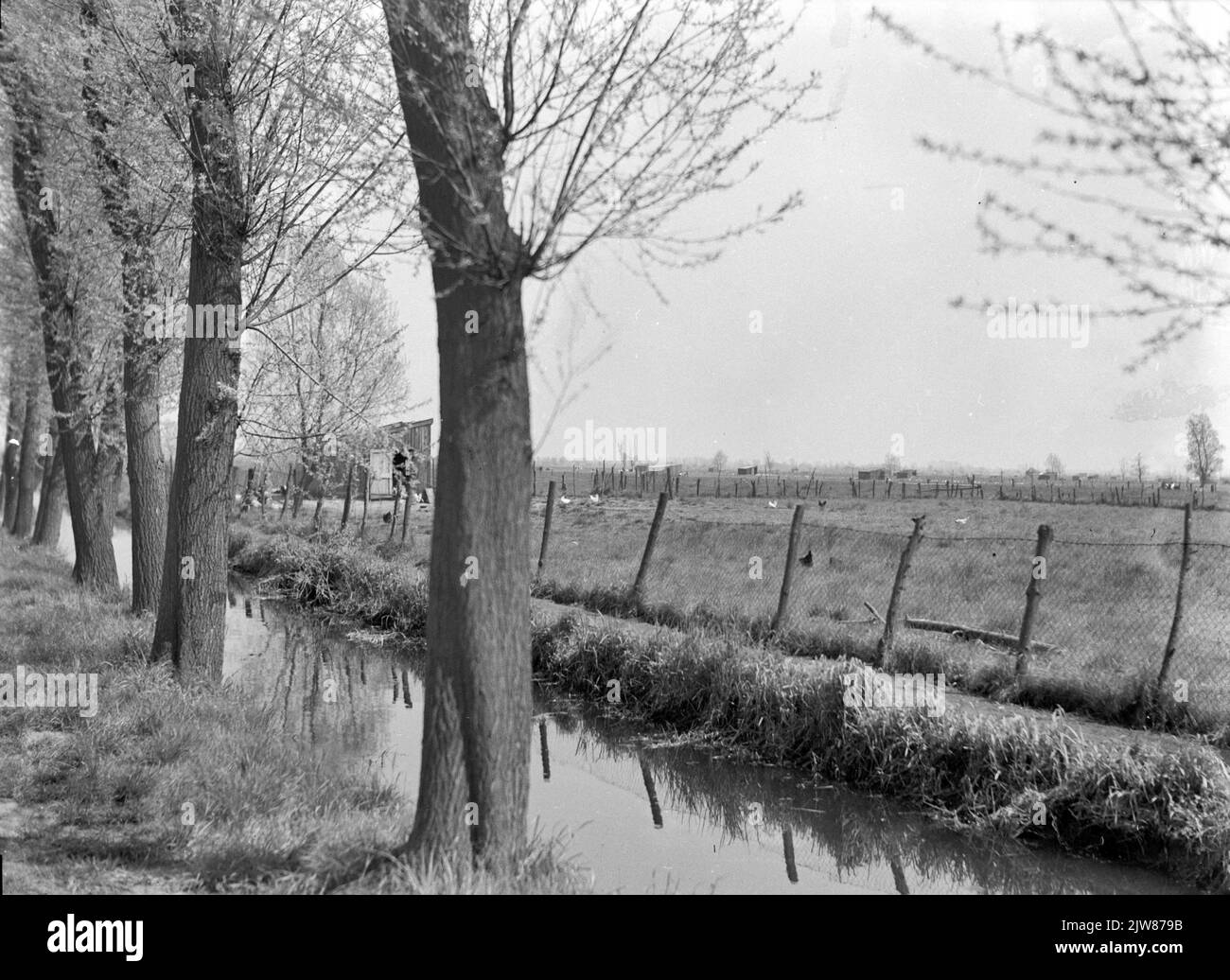 Blick auf einen Graben und eine Hühnerwiese am oberen Ende in Veendaal. Stockfoto