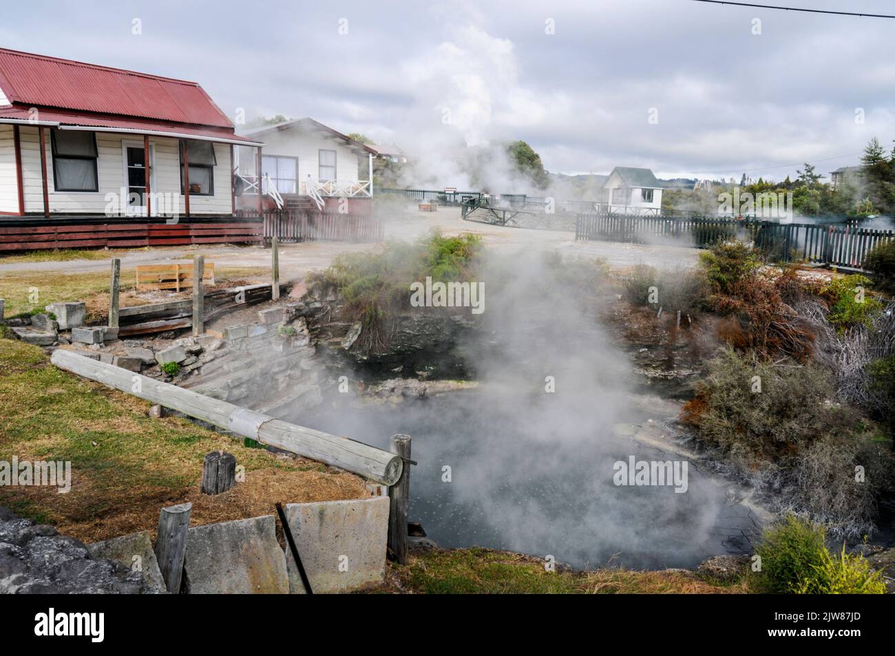 Dampf steigt aus einer heißen Quelle in einem kleinen Garten vor einem Maori-Familienhaus im einzigen lebenden Maori-Dorf Neuseelands, Whakarewarewa, auf Stockfoto