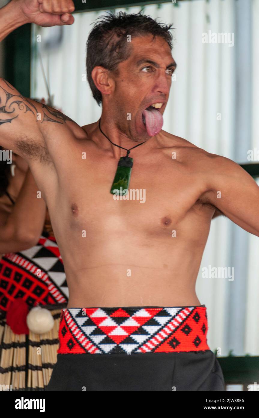 Ein Maori-Tänzer in seinem traditionellen Tanzkleid bei einem kulturellen Tanzkonzert, das den Haka für Besucher des einzigen Liv Neuseelands aufführt Stockfoto