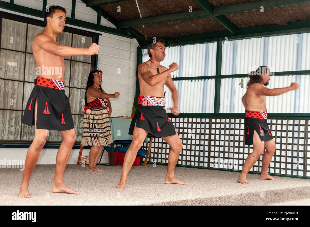Maori-Tänzer in ihrem traditionellen Tanzkleid bei einem kulturellen Tanzkonzert mit dem Haka für Besucher, die das einzige Leben Neuseelands besuchen Stockfoto