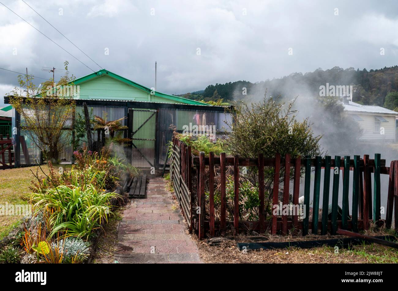 Dampf steigt aus einer heißen Quelle in einem kleinen Garten vor einem Maori-Haus im einzigen lebenden Maori-Dorf Neuseelands, Whakarewarewa, das innerhalb von Th liegt Stockfoto
