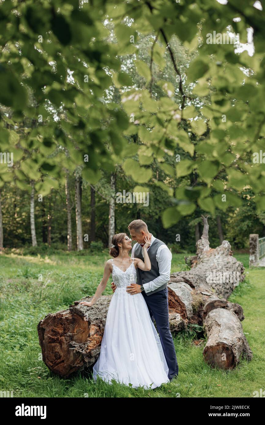 Vertikal fröhlich, märchenhaft, glückselig, fröhlich verheiratetes Paar glänzender Braut und Bräutigam, das sich in der Nähe eines großen Baumstammes in einer Parklandschaft umarmt Stockfoto